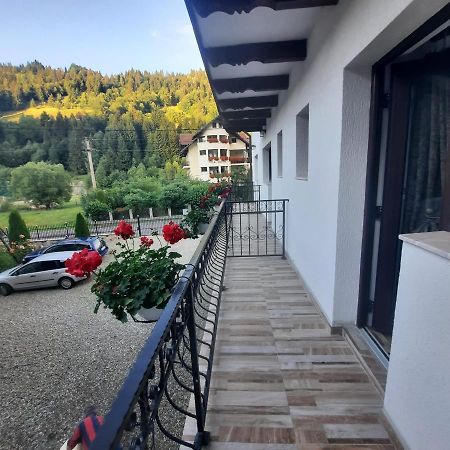 ホテル Casa Dana Olteanu モイエチウ・デ・スス エクステリア 写真