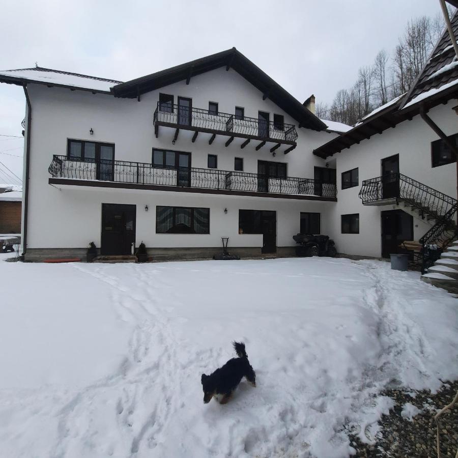 ホテル Casa Dana Olteanu モイエチウ・デ・スス エクステリア 写真